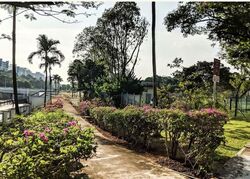 Pine Grove (D21), Condominium #600554251